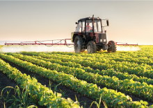 Monsanto påberåbt shady EPA Risk Study at bestride Domstolendom, at Roundup forårsaget Cancer