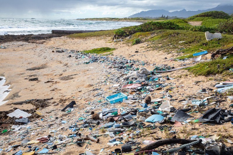 Retssag Beder Gennemgang af Plast Forurening Virkninger på Hawaiian Waters
